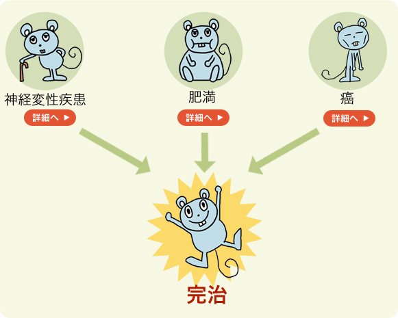 京都大学 垣塚研究室